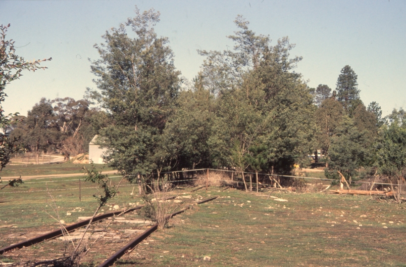 132158: Tumbarumba looking towards Wagga Wagga from end of track