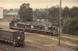 132191: Cootamundra 8175 48100 48103