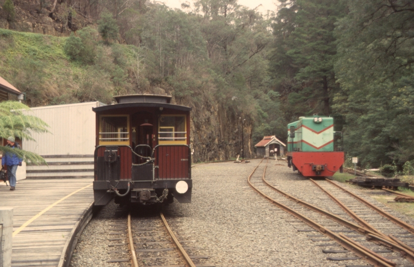 132256: Walhalla looking towards Thomson In background ex EBR 1001