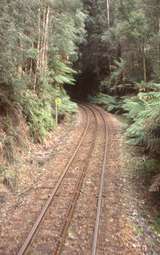 132323: km 10 West Coast Wilderness Railway looking towards Regatta Point