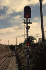 132434: Telarah Co-acting Signal MD303 at North end of platform