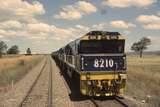 132463: Togar Northbound Coal Empty 8210 leading