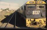 132484: Greta Northbound Coal Empty 8137 leading