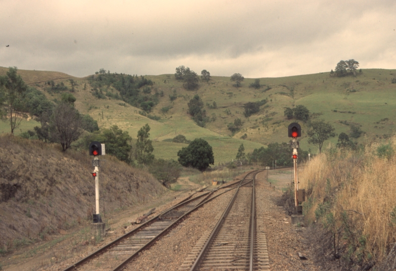 132490: Monkerai South end of loop looking towards Maitland