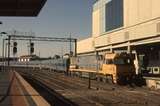 132629: Southern Cross Platform 2 AM8 'Overland' from Adelaide