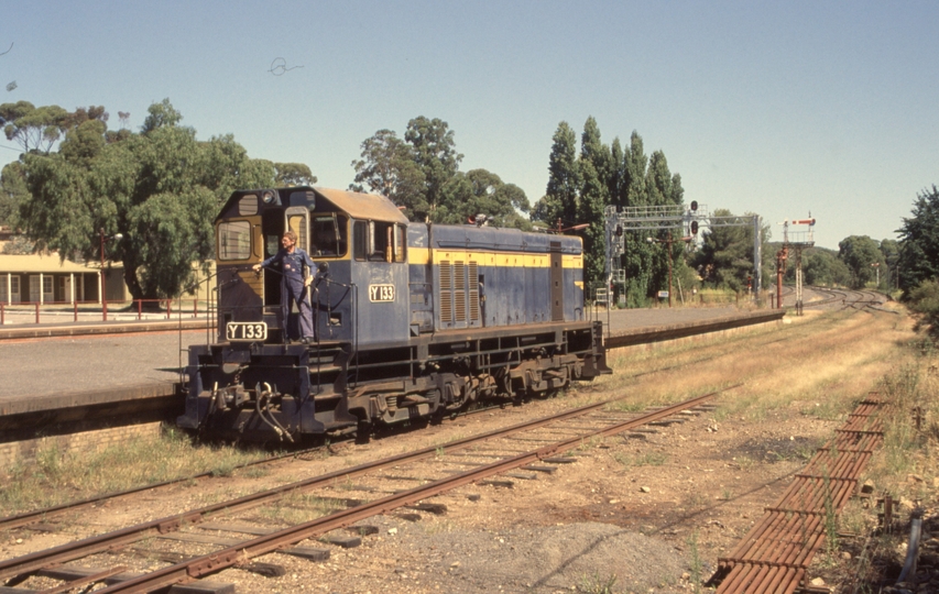 132640: Castlemaine Y 133 backing down for Passenger to Maldon