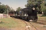 132666: Menzies Creek No 22 Luncheon Train to Belgrave G 42