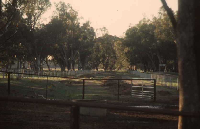 132704: Karn looking towards Benalla from Tatong end level crossing