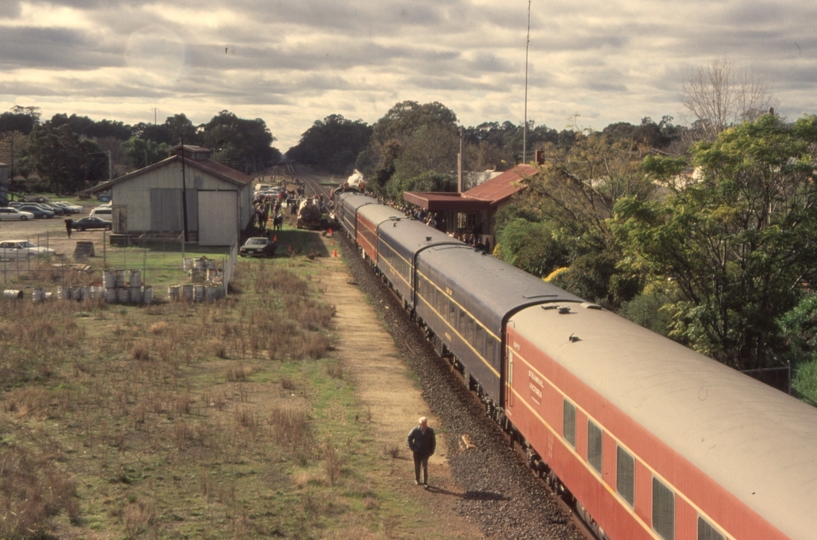 132714: Euroa 8393 Steamrail Special to Albury R 761 Last BG Steam on NE