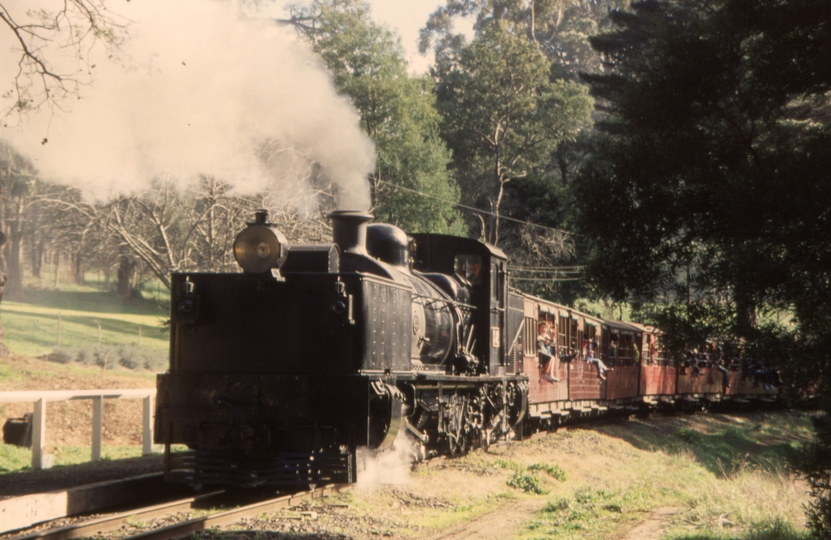 132728: Clematis Luncheon Train to Lakeside G 42