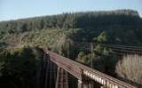 132846: Waiteti Viaduct looking North