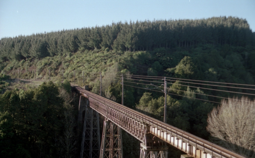 132846: Waiteti Viaduct looking North