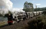 132873: km 237.5 North Island Main Trunk Governor's Special to Paekakariki Ka 942