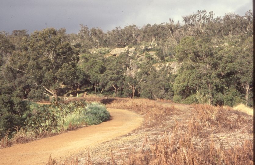 132965: Approaching Swan View Tunnel from West