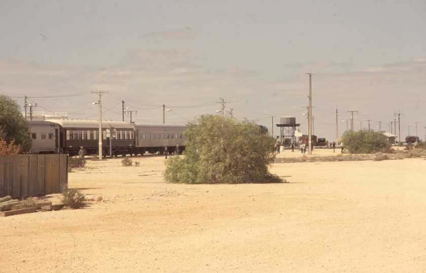 133071: Cook Eastbound 'Indian Pacific'