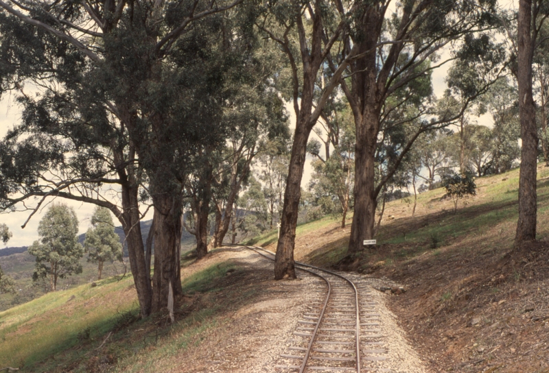 133122: Kerrisdale Mountain Railway Bottom Points - Strathview Section looking towards Top Points