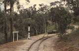 133123: Kerrisdale Mountain Railway Strathview Siding looking towards Top Points