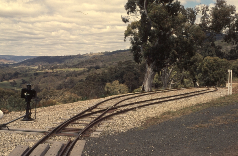 133222: Kerrisdale Mountain Railway Summit Loop looking towards Top Points