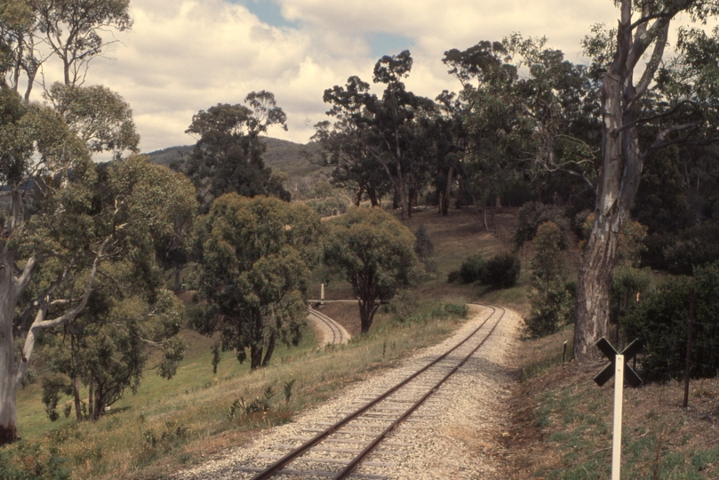 133229: Kerrisdale Mountain Railway Summit Loop- Top Points Section looking towards Top Points