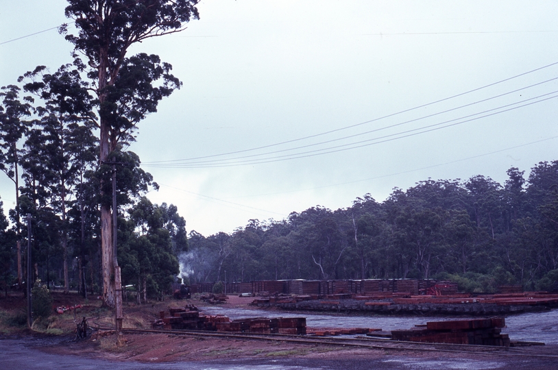 133406: Donnelly River Timber mill Photo Wendy Langford