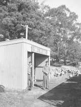 133419: Thorpdale Mallee Shed on platform