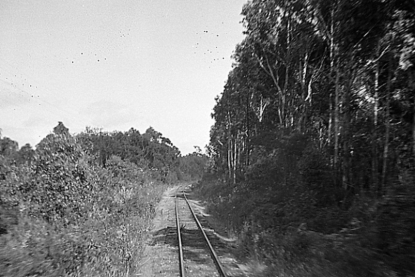 133440: Near Barongarook looking North