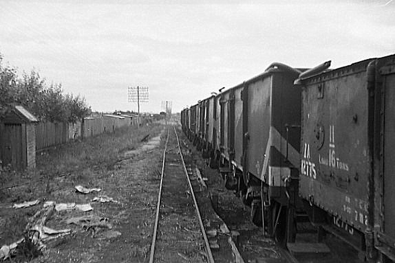 133463: Cheetham's Siding looking towards Queenscliff