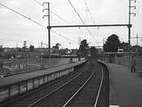 133481: Opening at Laburnam View looking towards Ringwood