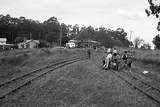 133501: Menzies Creek Looking towards Emerald Schools' Section Work Party No 50 in progress with Trolley STA 1