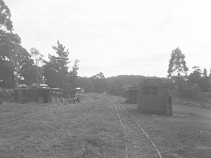 133502: Menzies Creek looking towards Belgrave