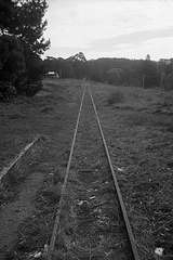 133503: Menzies Creek looking towards Belgrave