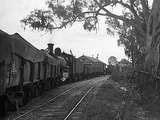 133526: Koondrook D3 677 shunting in goods sidings