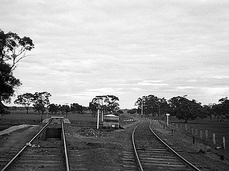 133538: Goroke Line to Carpolac at right