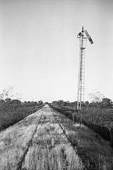 133576: Robinvale Bridge Up Home Signal looking towards Koorakee