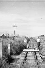 133599: Weeaproinah End of track looking towards Beech Forest