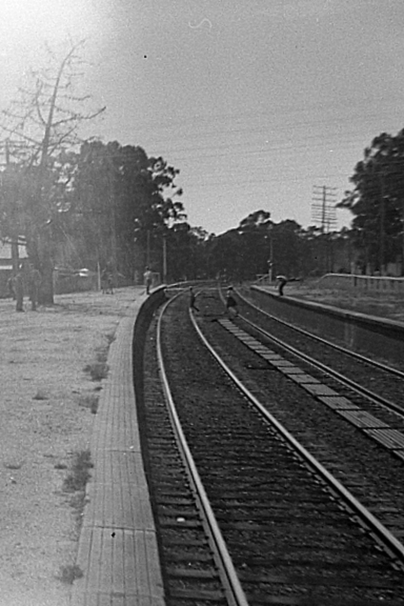 133608: Mangalore looking towards Albury along centre platform