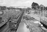 133617: Elsternwick Up Suburban Train 7-car Tait