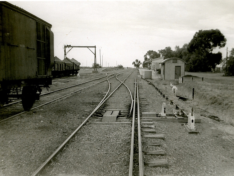 133633: Oaklands SG divergence out of DG Track in No 1 Road at Yarrawonga end looking towards Sydney