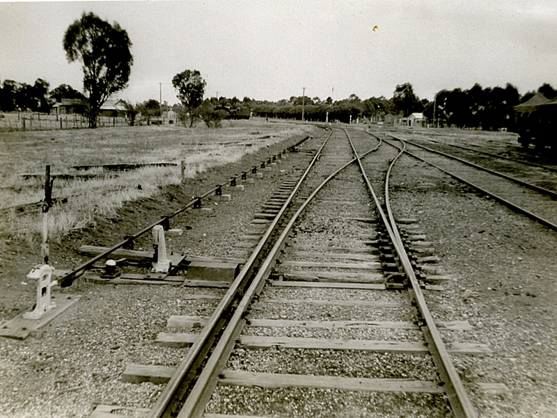 133637: Oaklands Single bladed turnout in No 1 Road at Yarrawonga end looking towards Yarrawonga