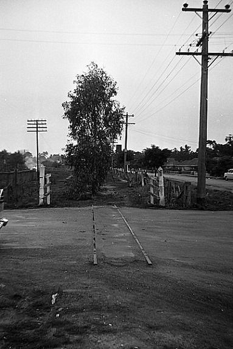 133683: Wangaratta Down Side Narrow gauge rails in level crossing