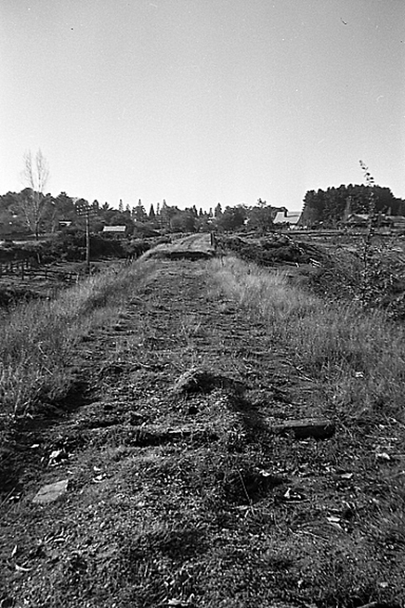 133699: Beechworth Formation beyond end of track looking towards Yackandandah