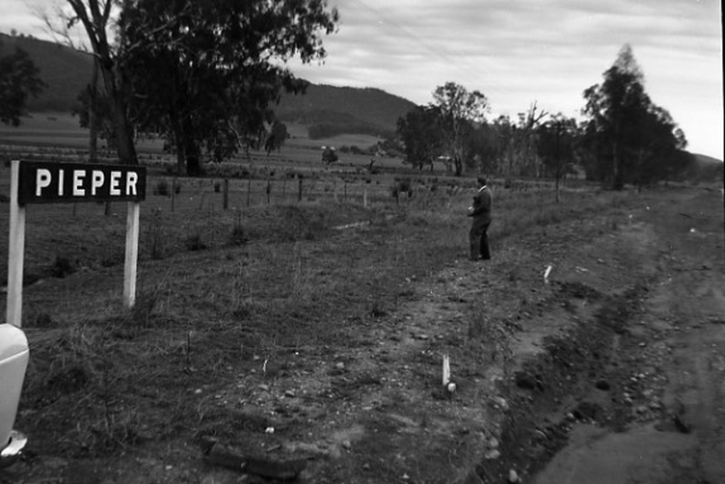 133719: Pieper looking towards Wangaratta