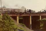 133738: Darebin Creek Bridge Up Hurstbridge High School Special K 184