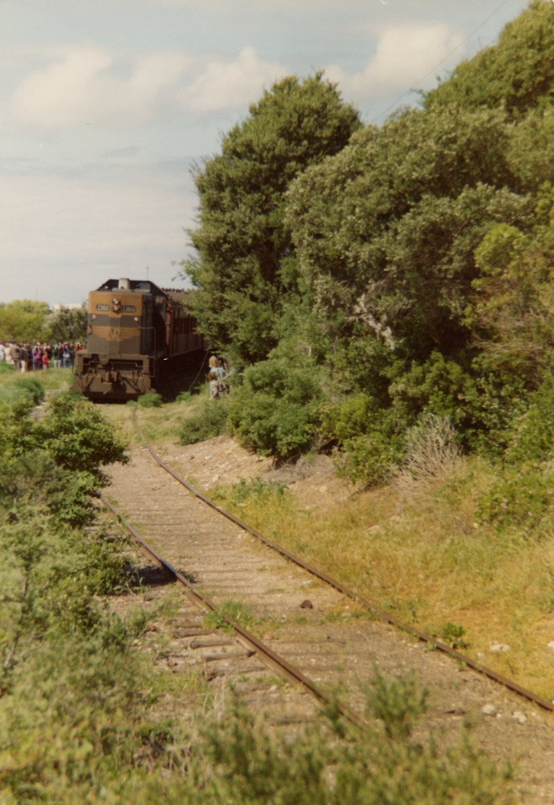 133744: Queenscliff Up Special Passenger T 360 Last Day of VR Operations