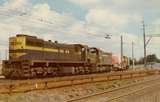 133760: Sunshine Up Goods X 36 T 370