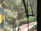 135053: Bridge 8 Curved Trestle looking towards Belgrave