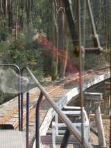 135054: Bridge 8 Curved Trestle looking towards Belgrave