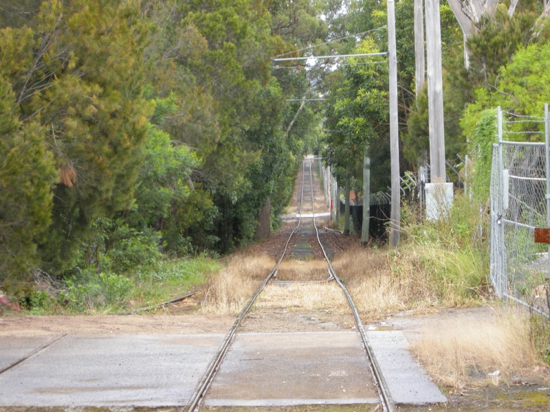 135321: Sydney Tram Museum Sutherland looking towards Loftus