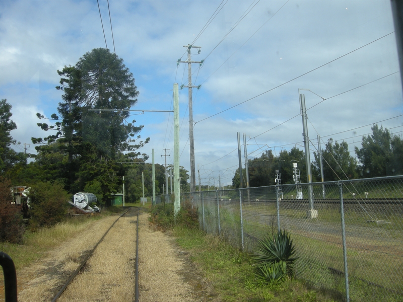 135325: Sydney Tram Museum Loftus National Park Line beside RailCorp Line looking towards The Royal National Park