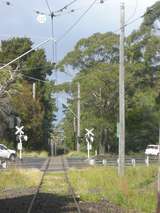 135326: Sydney Tram Museum  Loftus Ntaional Park Line Prince's Highway Level Cossing looking towards The Royal National Park